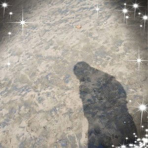 leni lisa profile icon