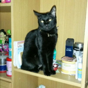 Chutipron Changfon profile icon