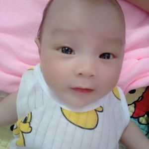 Phùng Thúy Loan profile icon