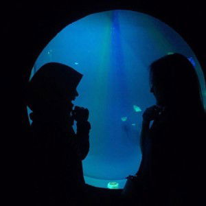 Tiara D profile icon