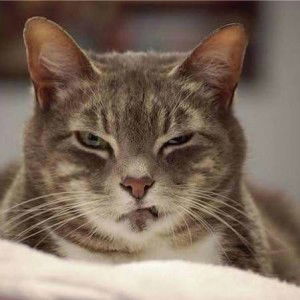 Namphet Mouksang profile icon