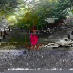 Angelica Arellano Perez profile icon