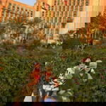 mars fernandez profile icon