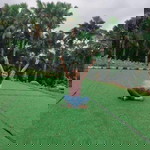 Binh Minh Diu Em profile icon