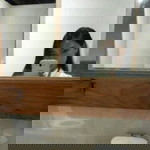 Dwi Putri profile icon