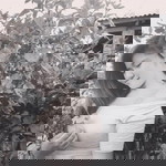 Jes Mos Lle profile icon