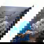 ellen nftsr profile icon