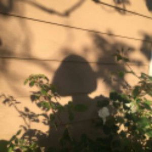 เด็ก ผู้ ชาย  ^^ profile icon