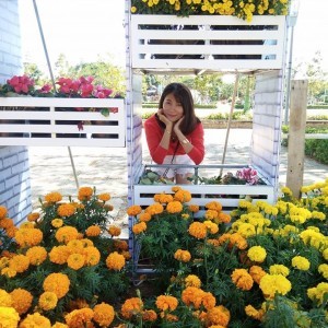 Bui Ngoc Bích Uyên profile icon