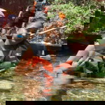 Gillian Fajardo profile icon