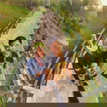 Anesti Anggraini profile icon