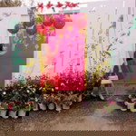 Nguyễn Thư profile icon