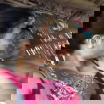 Beverly Tiaba Tigue-Nunez profile icon