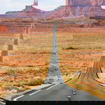 انيتا فرح profile icon