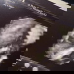 Irma Suryani profile icon