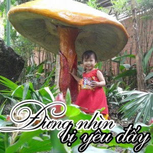 Linh Vu profile icon