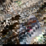 Rainning Moon profile icon