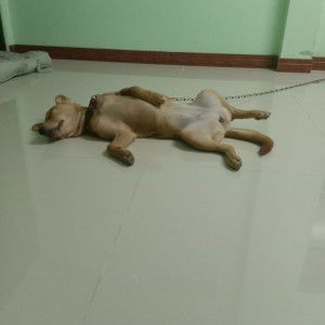 RNam FNam profile icon