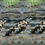 Ayu J Utami profile icon