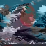 Diodan Zintari profile icon