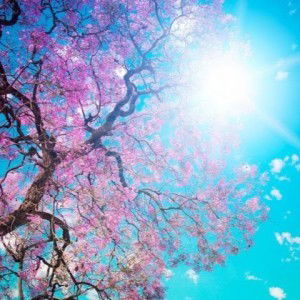 Maiza Akmal profile icon