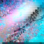 Maiza Akmal profile icon