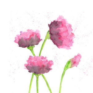 Asih Mitra profile icon