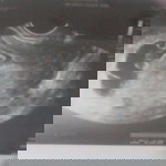 Eycie Mutuc profile icon