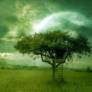 Suszie Chung profile icon