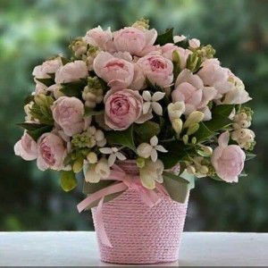 Rijki Nurardianti profile icon