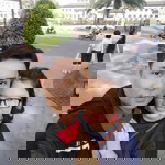 Dotri Yani profile icon