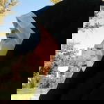 Ad'ha Nur Aini profile icon