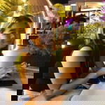 Natasha Mae D. Carcosia profile icon