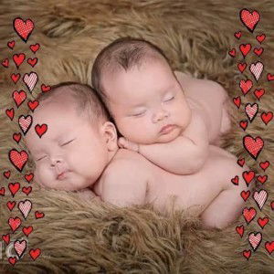 Mộng Cầm Võ profile icon