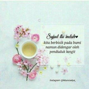 Aana Chii profile icon