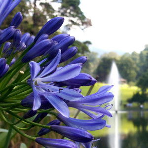 gak guna profile icon