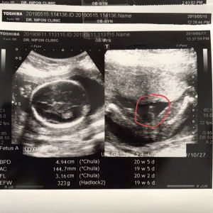 Lookyee Rutsura profile icon