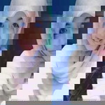 Safarani Yuli profile icon