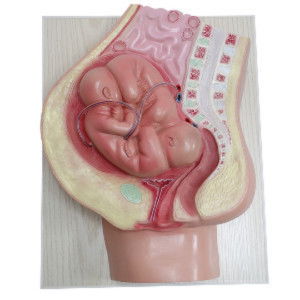 Bunga Dara profile icon