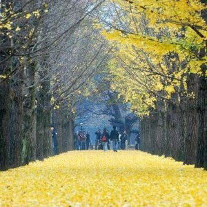 Marina Xray profile icon