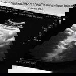 ummu radif profile icon