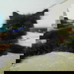 Oil Prmp profile icon