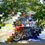 Hartin Dahi profile icon