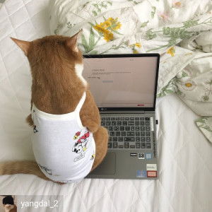 devi seftiani profile icon