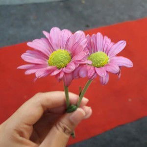 Yunita Dewi Sulistiani profile icon