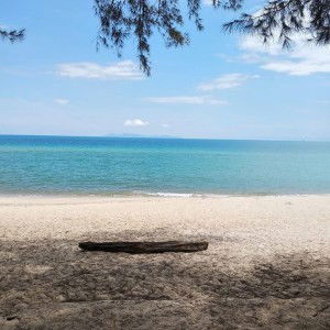 Bintu Latiff profile icon