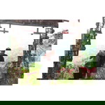 Lia Kcil's profile icon