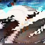 Huỳnh Ngọc Sang profile icon