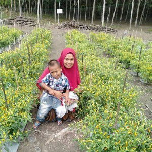 Noer Kamilah Milah profile icon