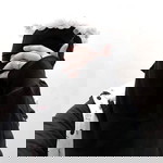 Nanaz Syeban profile icon